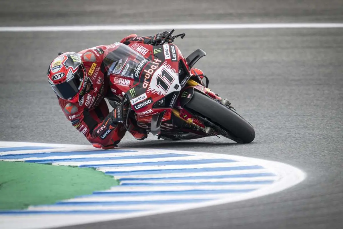 bulega