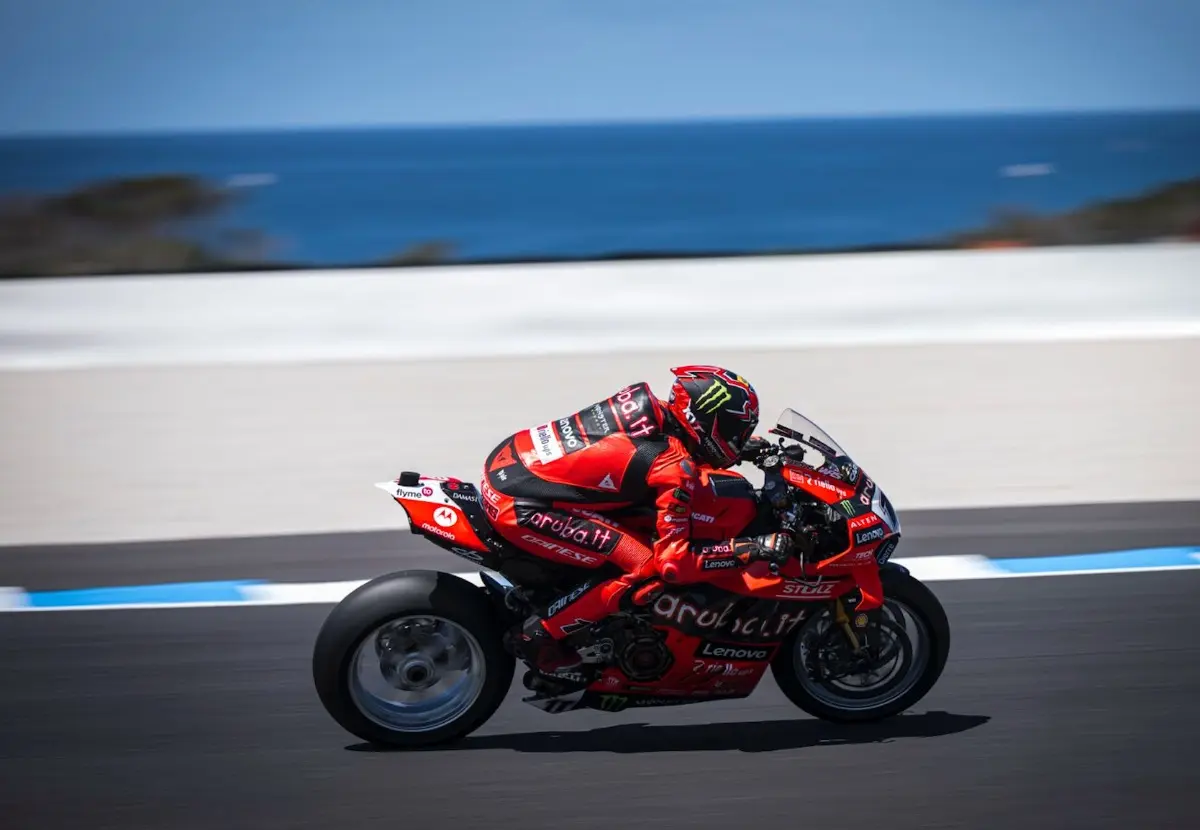 bulega