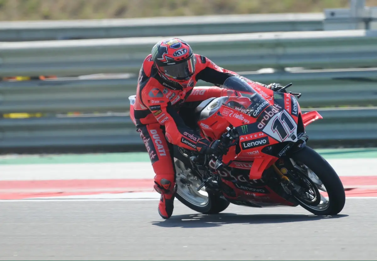 bulega