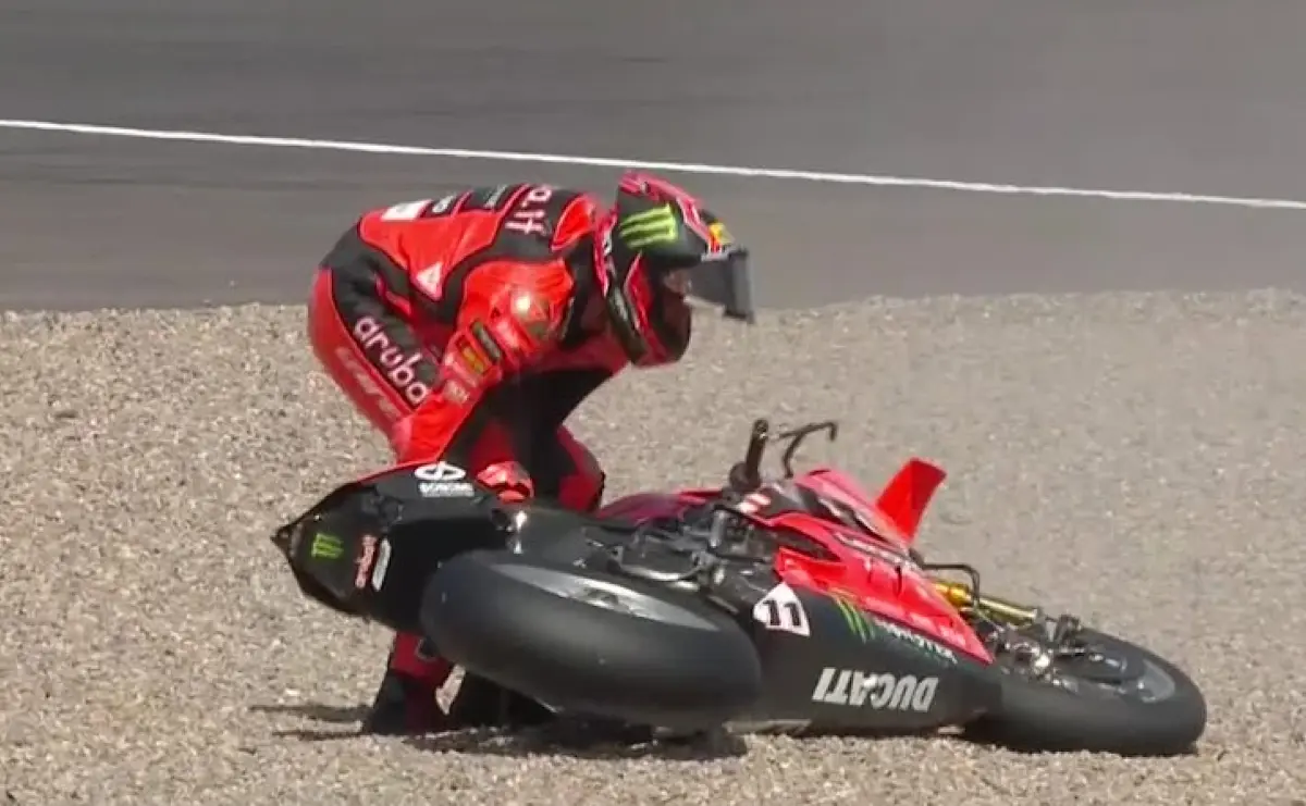 bulega