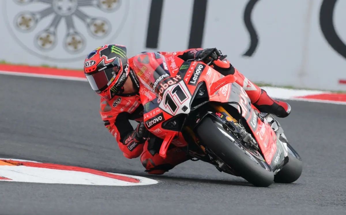 bulega