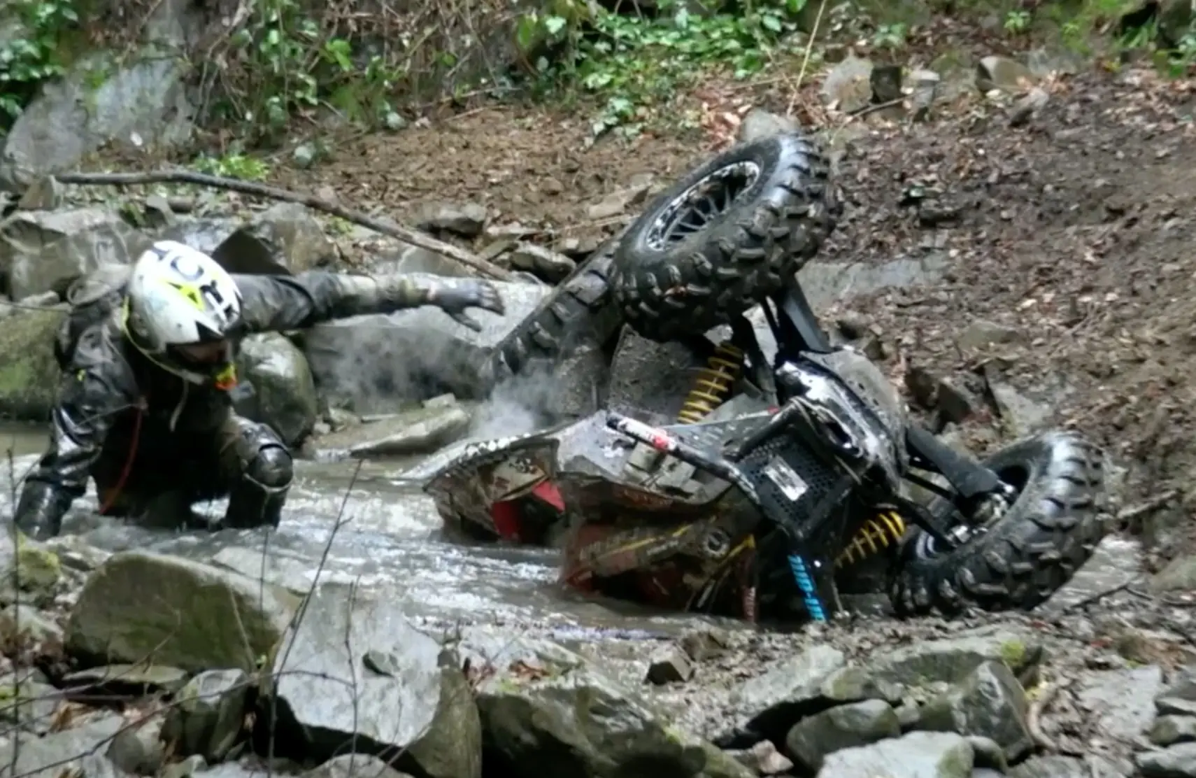 copertina quad