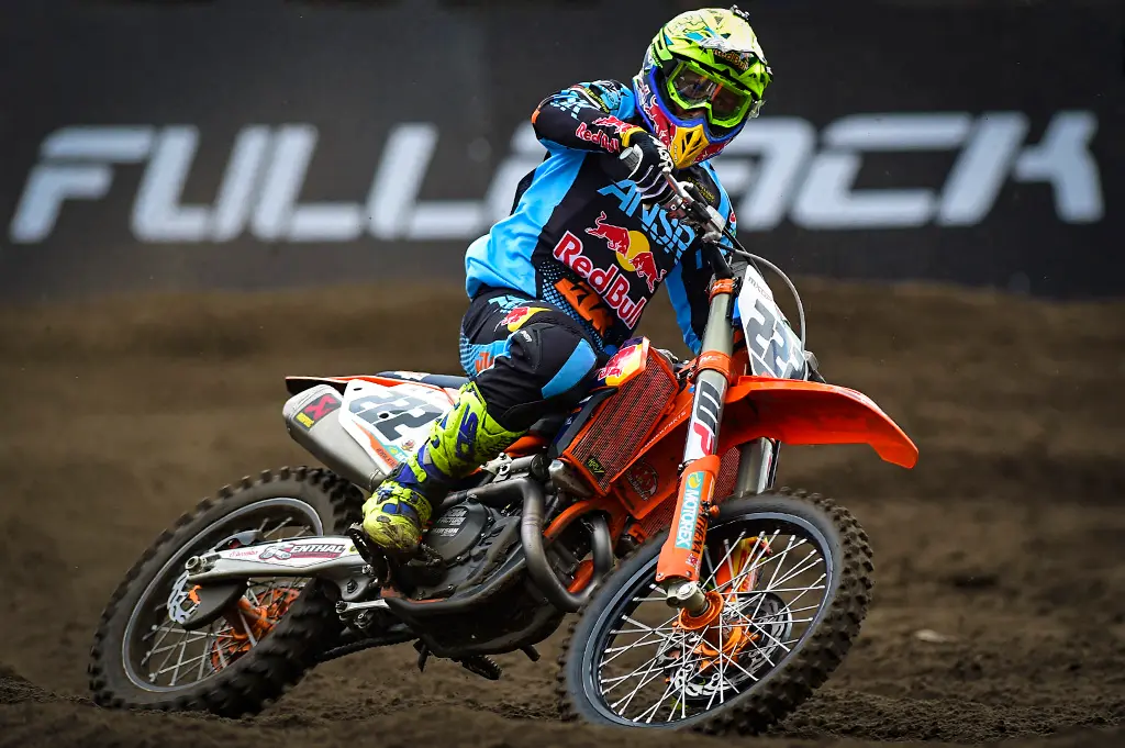 cover cairoli