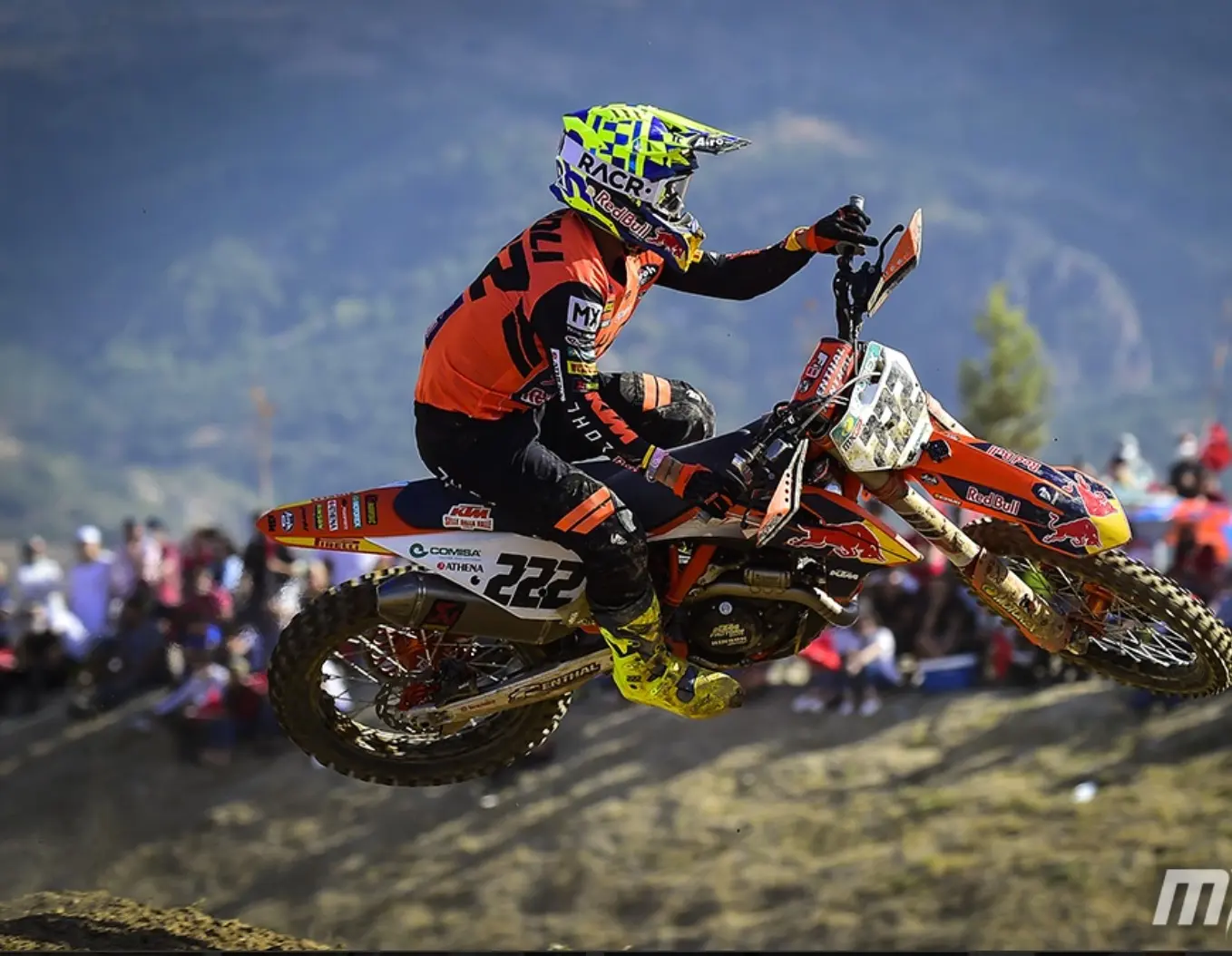 cover cairoli
