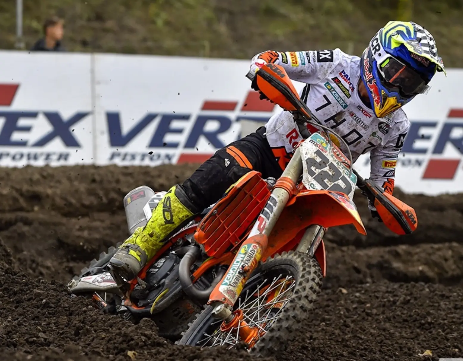 cover cairoli