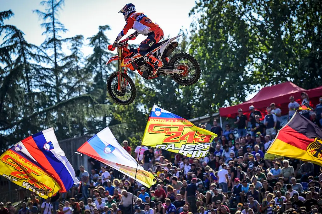 cover herlings 2