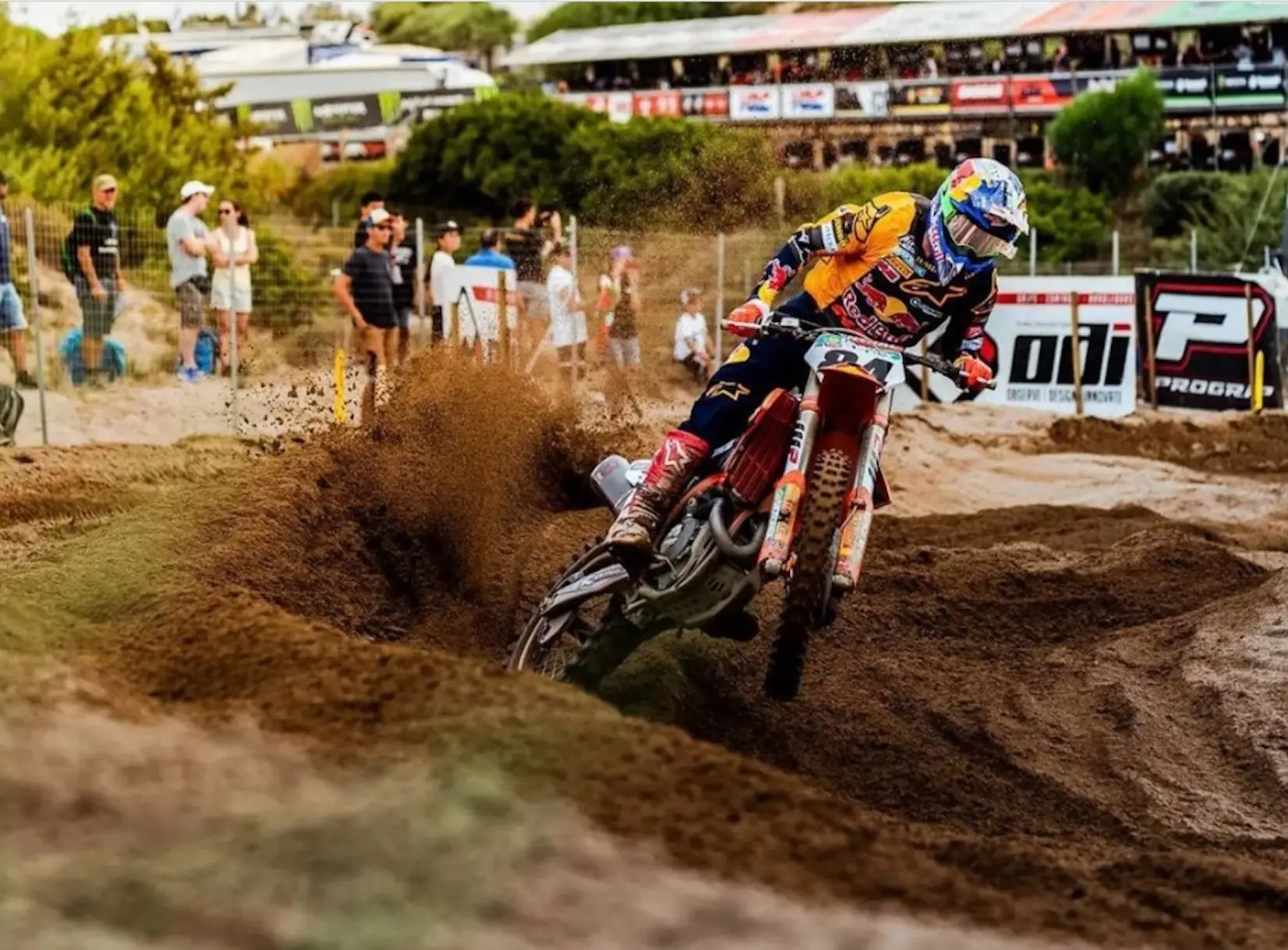 cover herlings