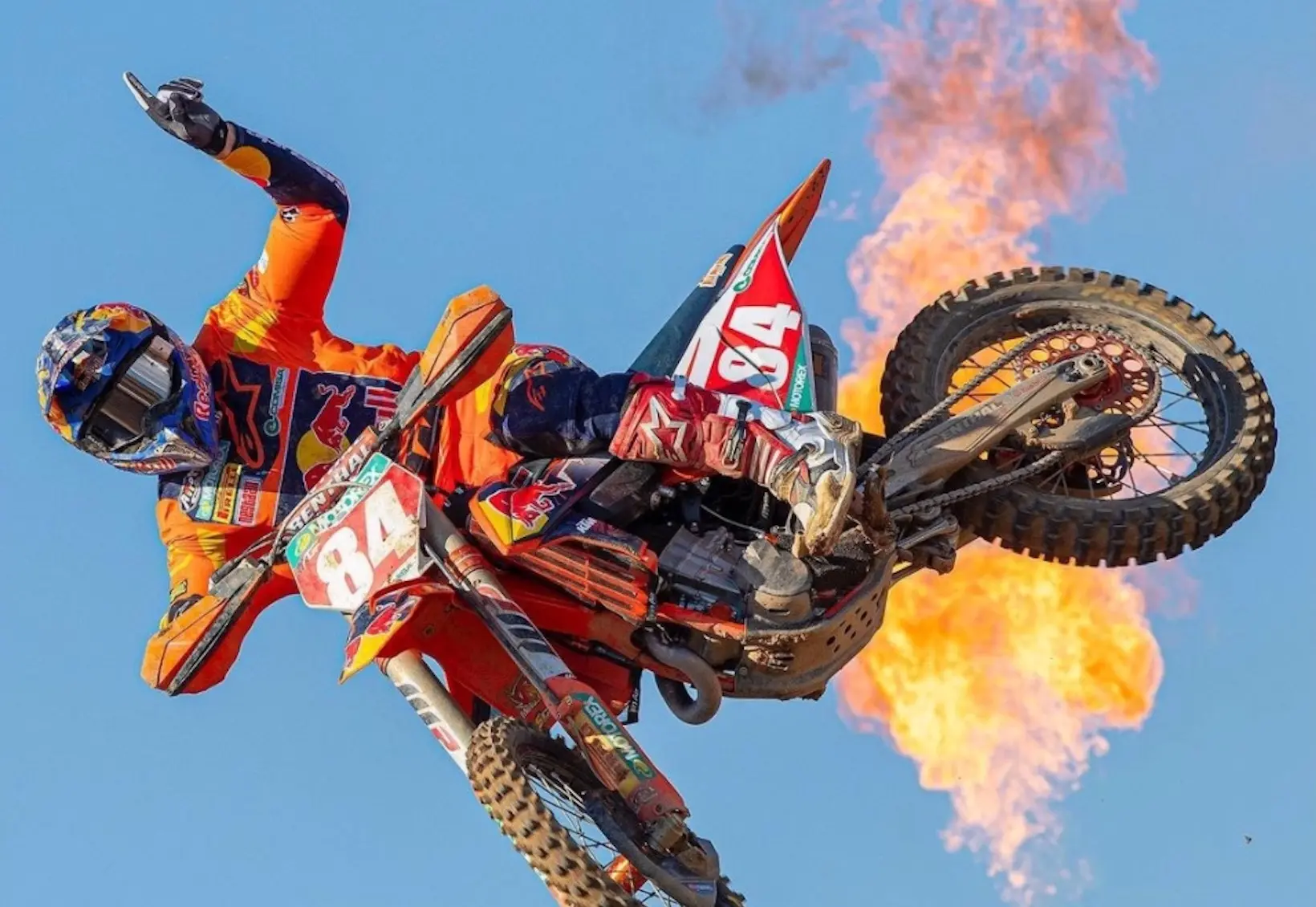 cover herlings