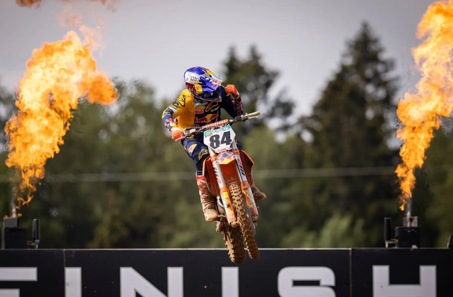 cover herlings