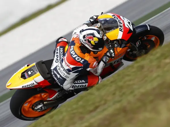 danipedrosasepangtest 2010 1