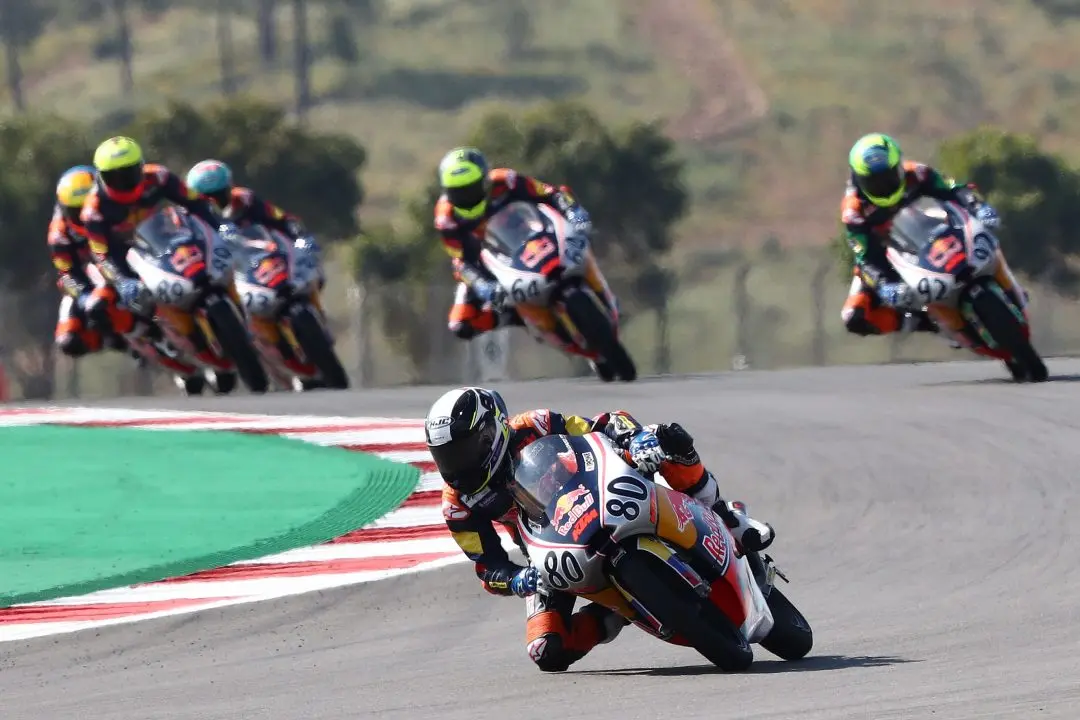 david alonso red bull rookies cup e1618839647189