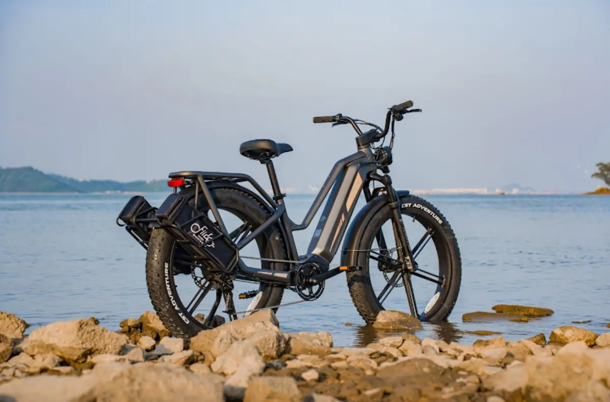 fat bike