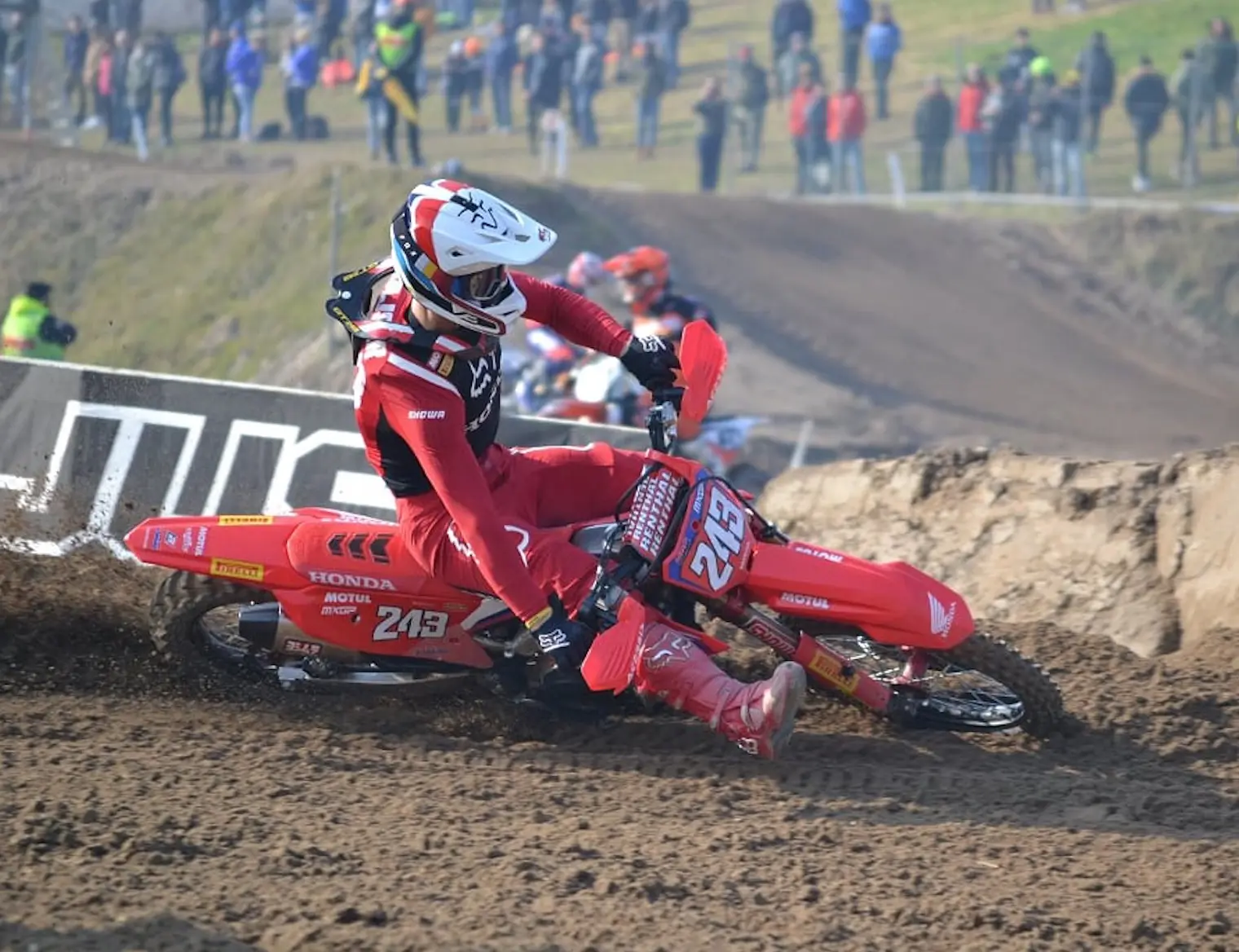 gajser