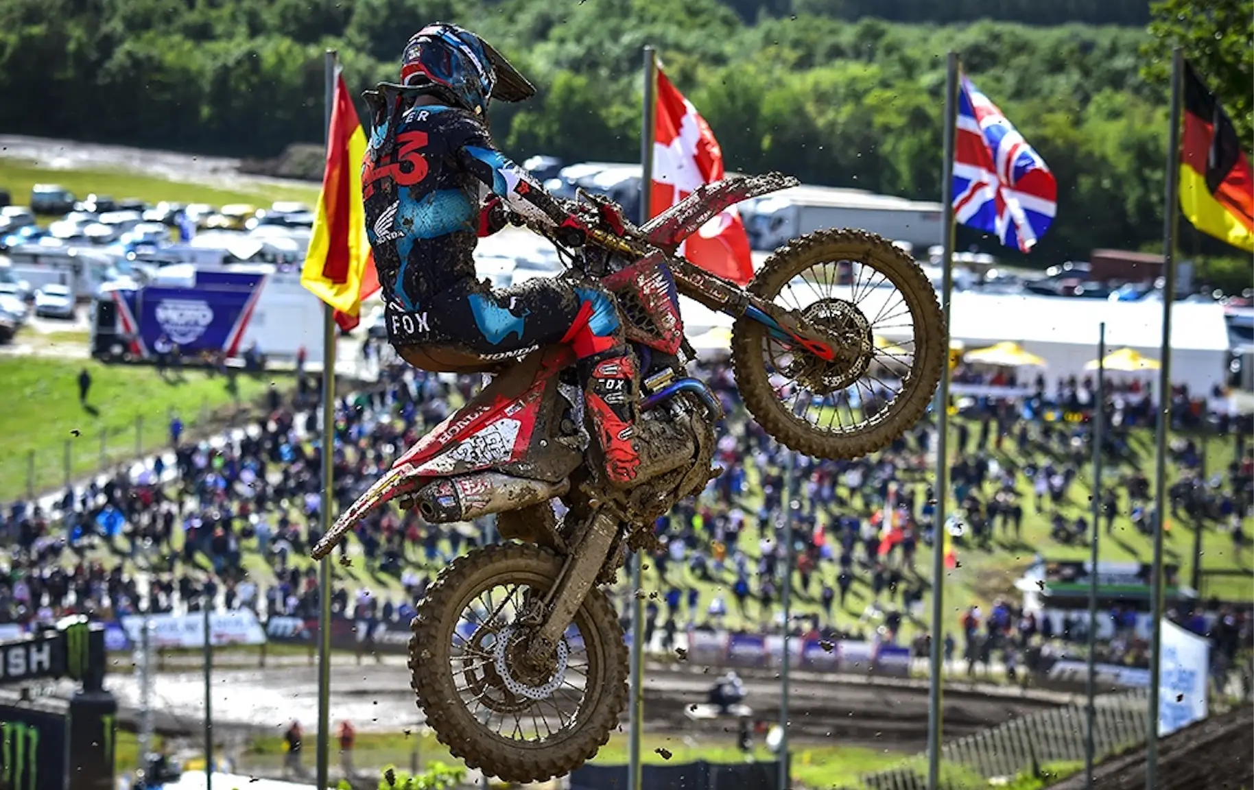 gajser