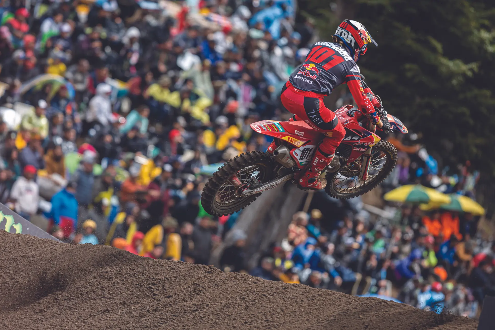 guadagnini mxgp argentina motocross