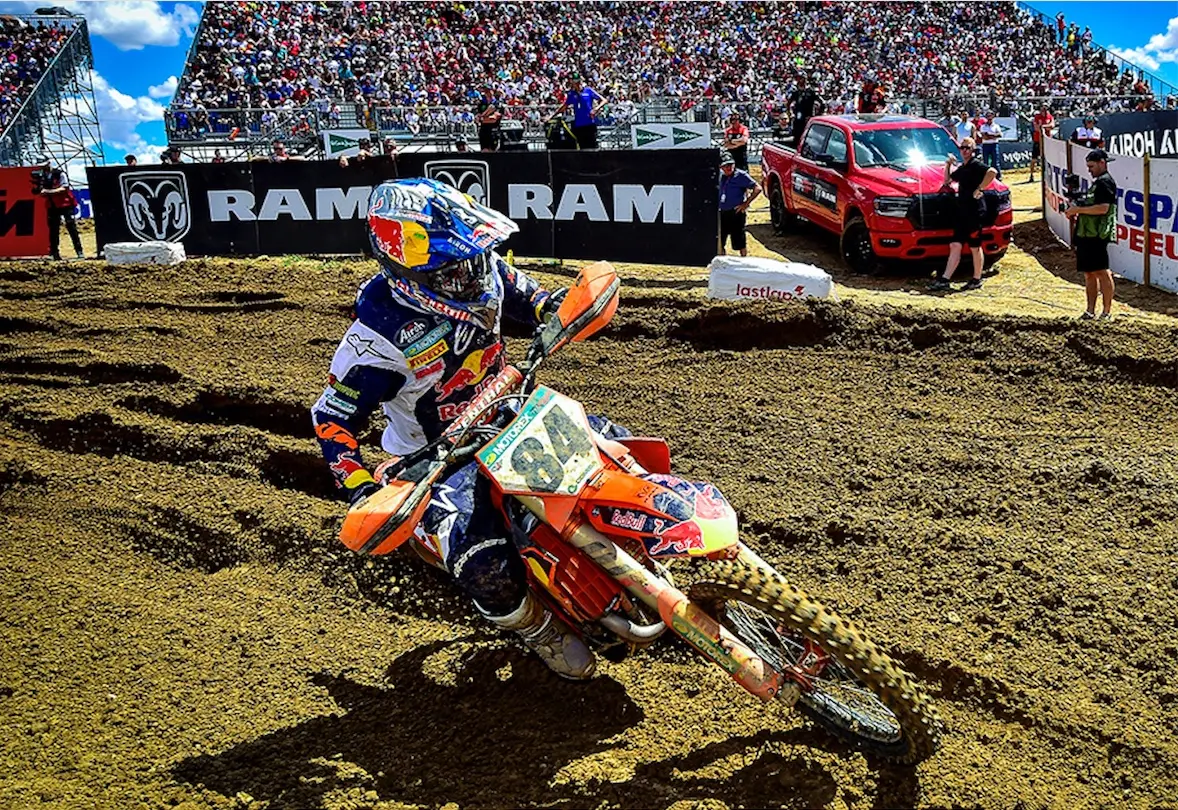 herlings