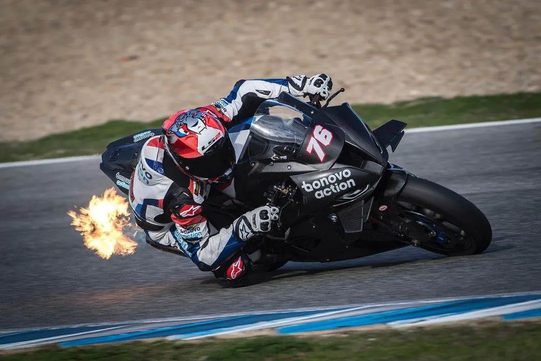 loris baz 1 1
