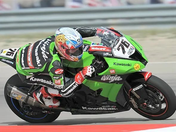 loris baz miller 2012