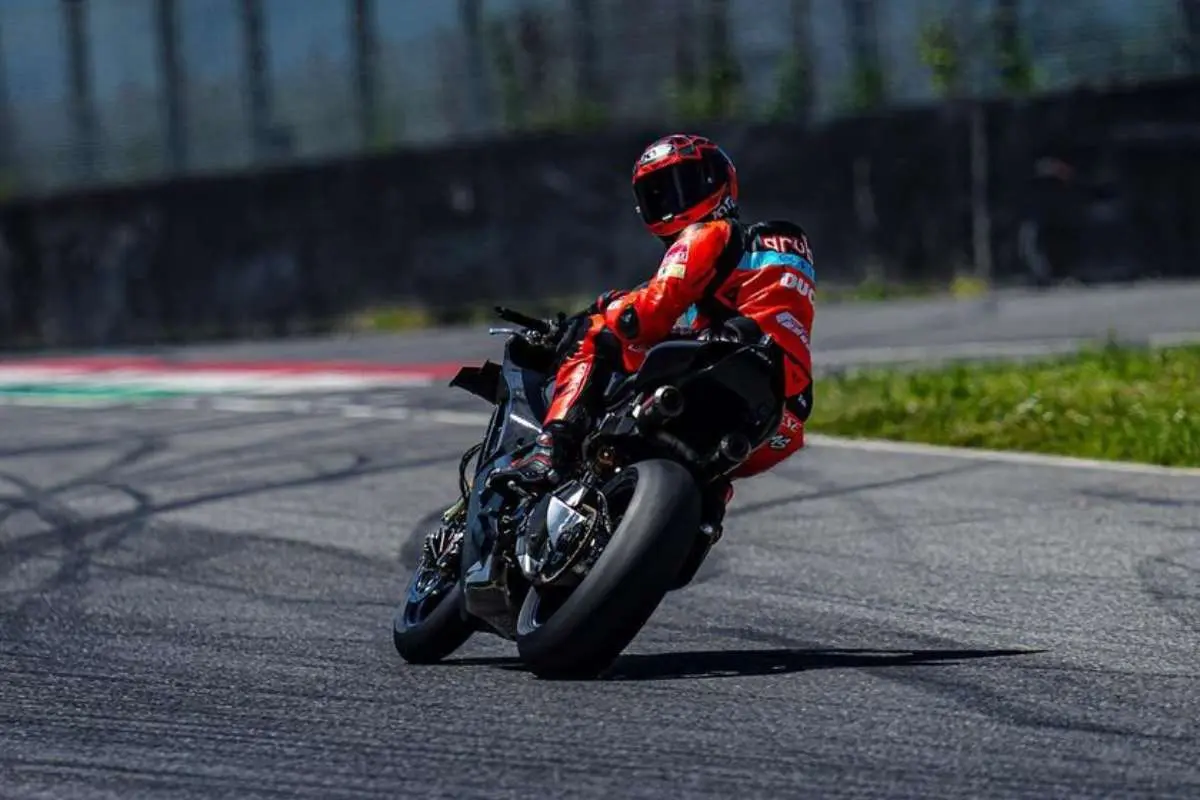 nicolo bulega