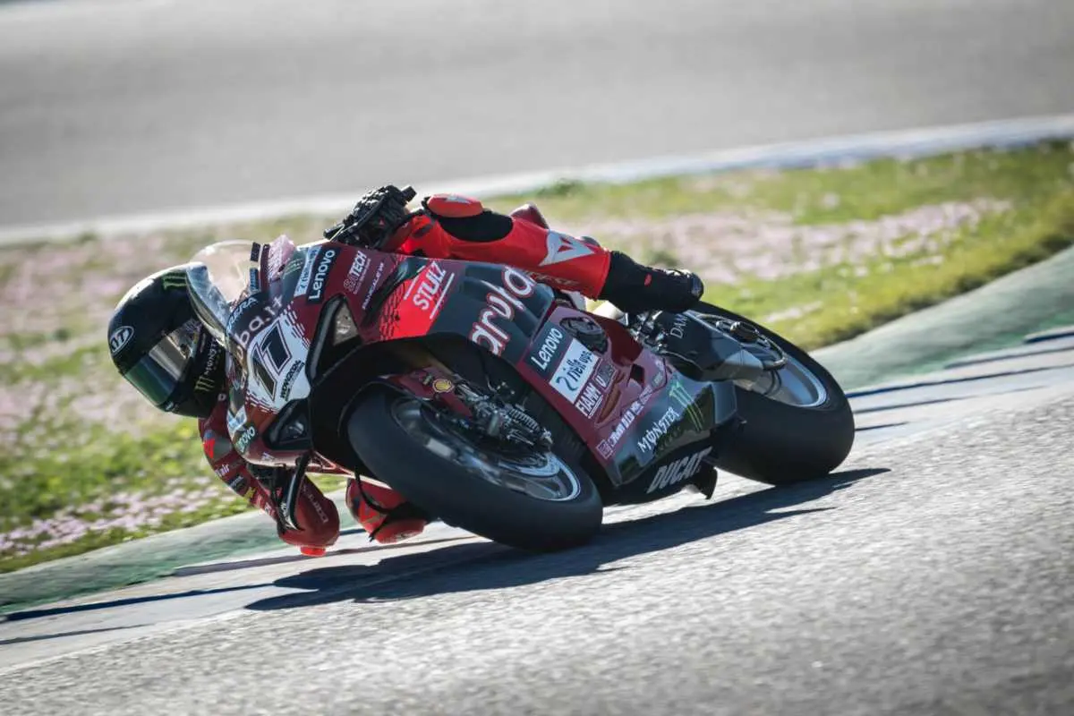 nicolo bulega