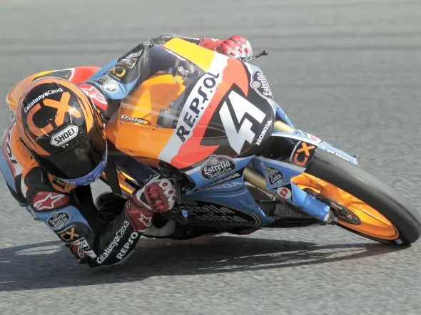 pecco2013 2