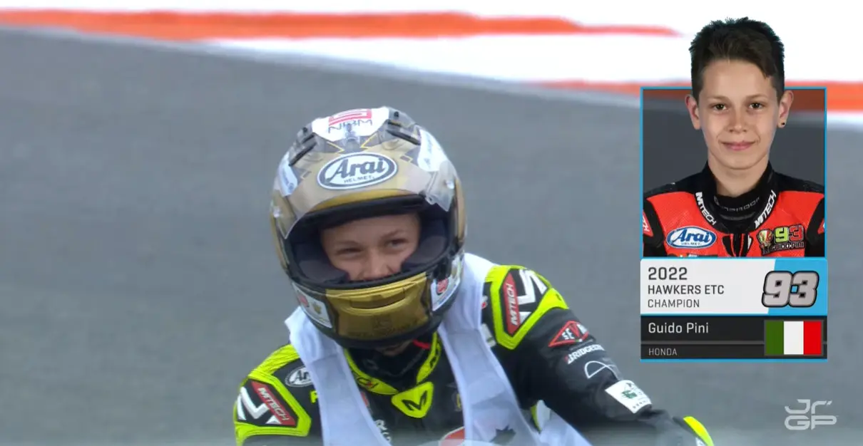 pini campione