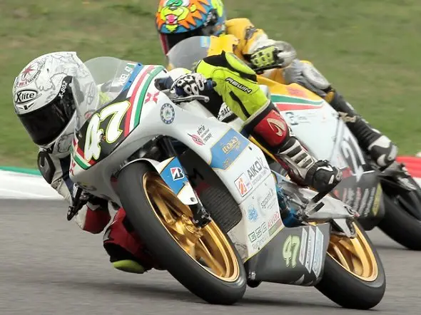 pregp250