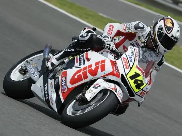 rdp jerez 2010