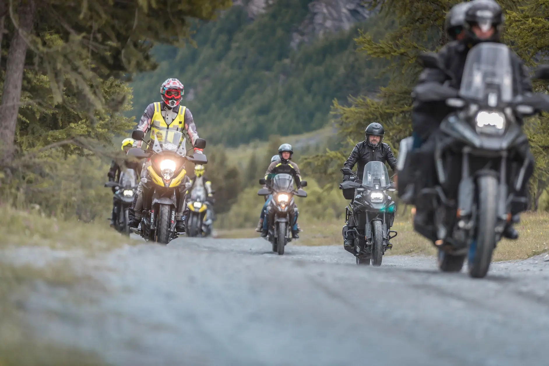 suzuki v strom day