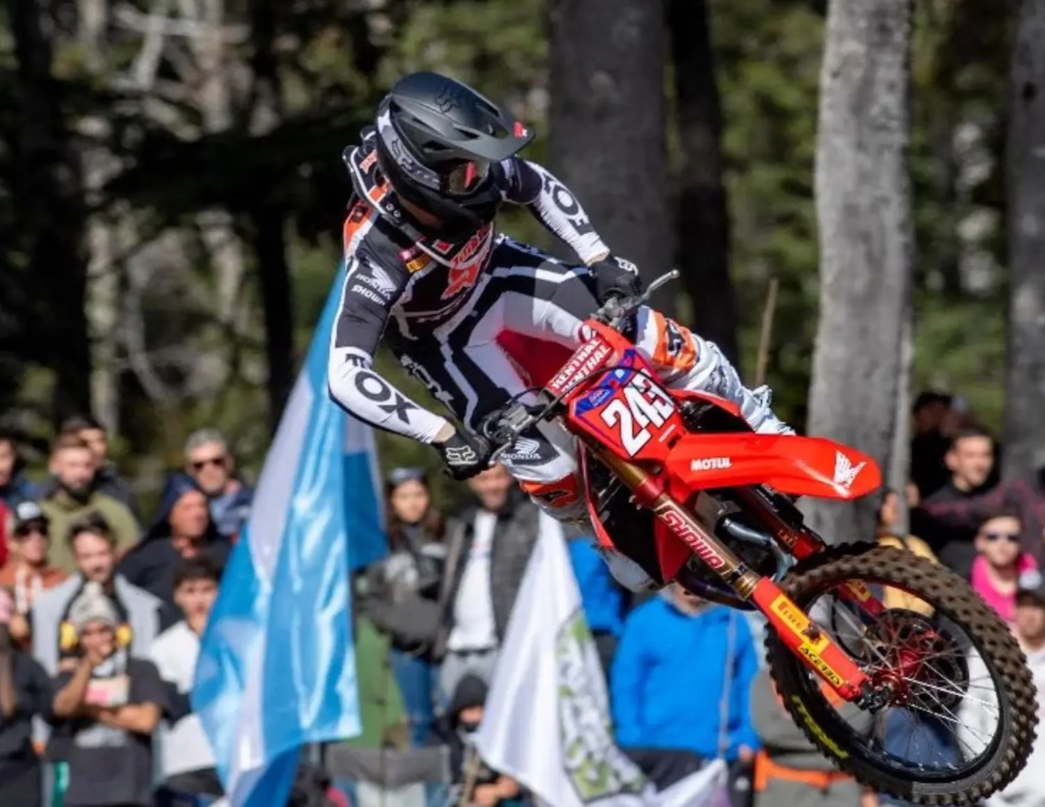 tim gajser 1