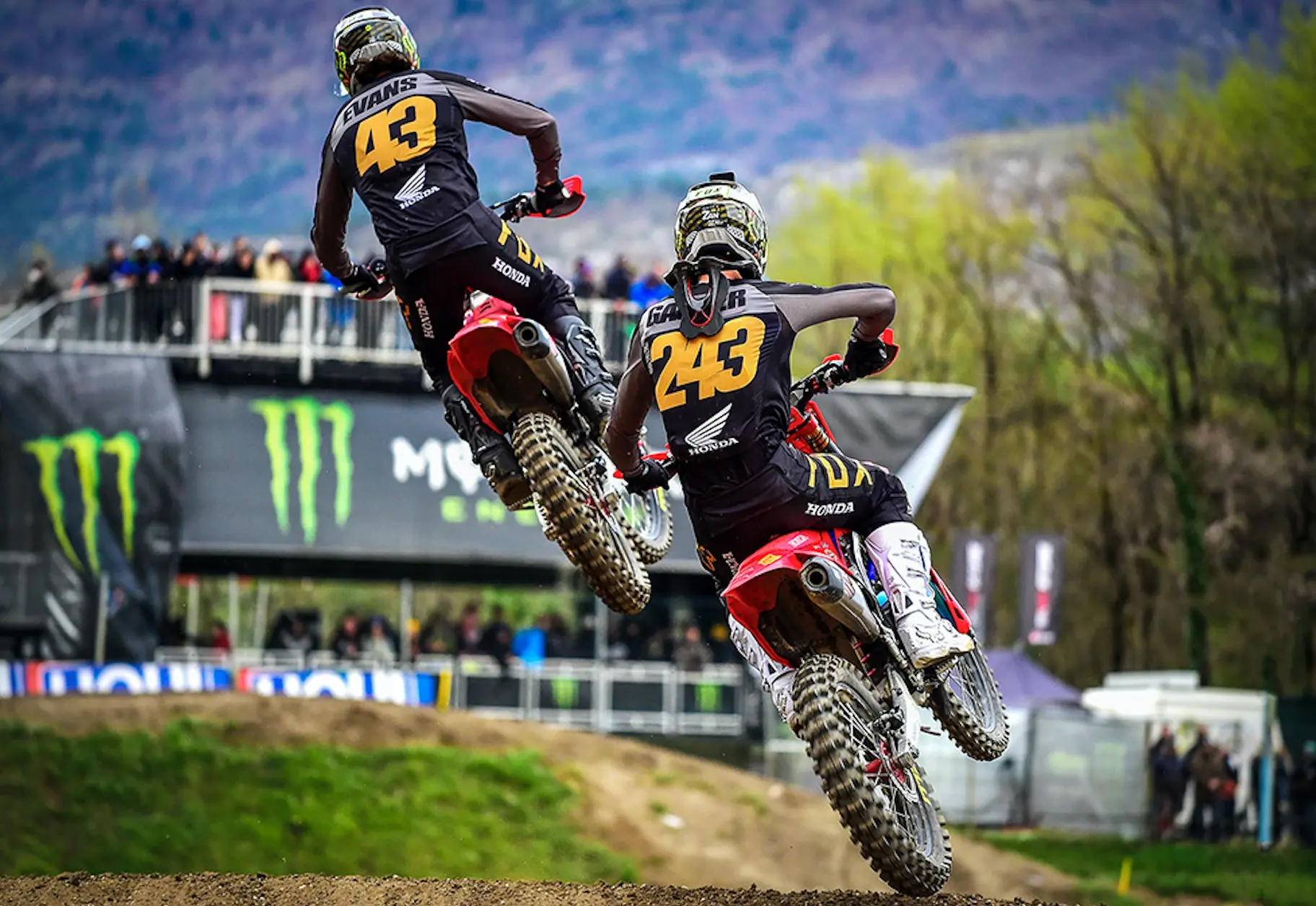 tim gajser 4