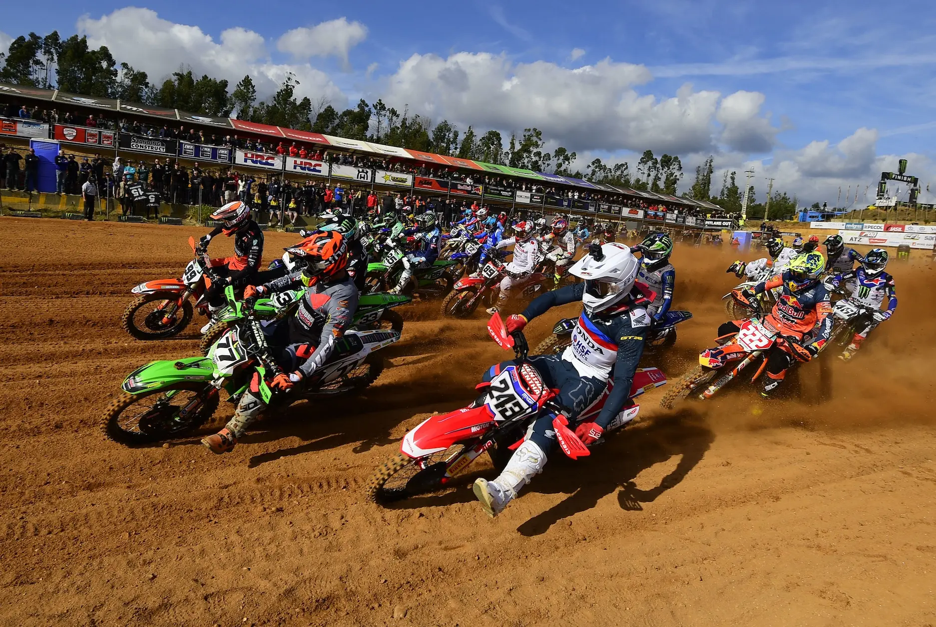 tim gajser