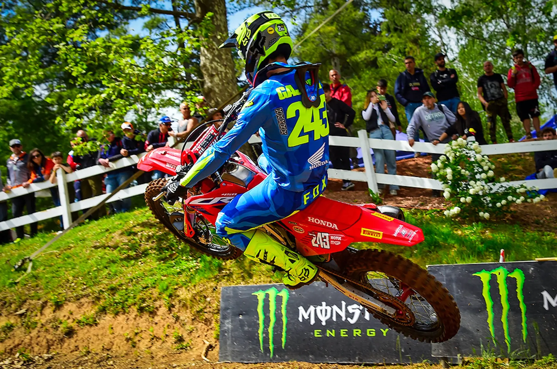 tim gajser