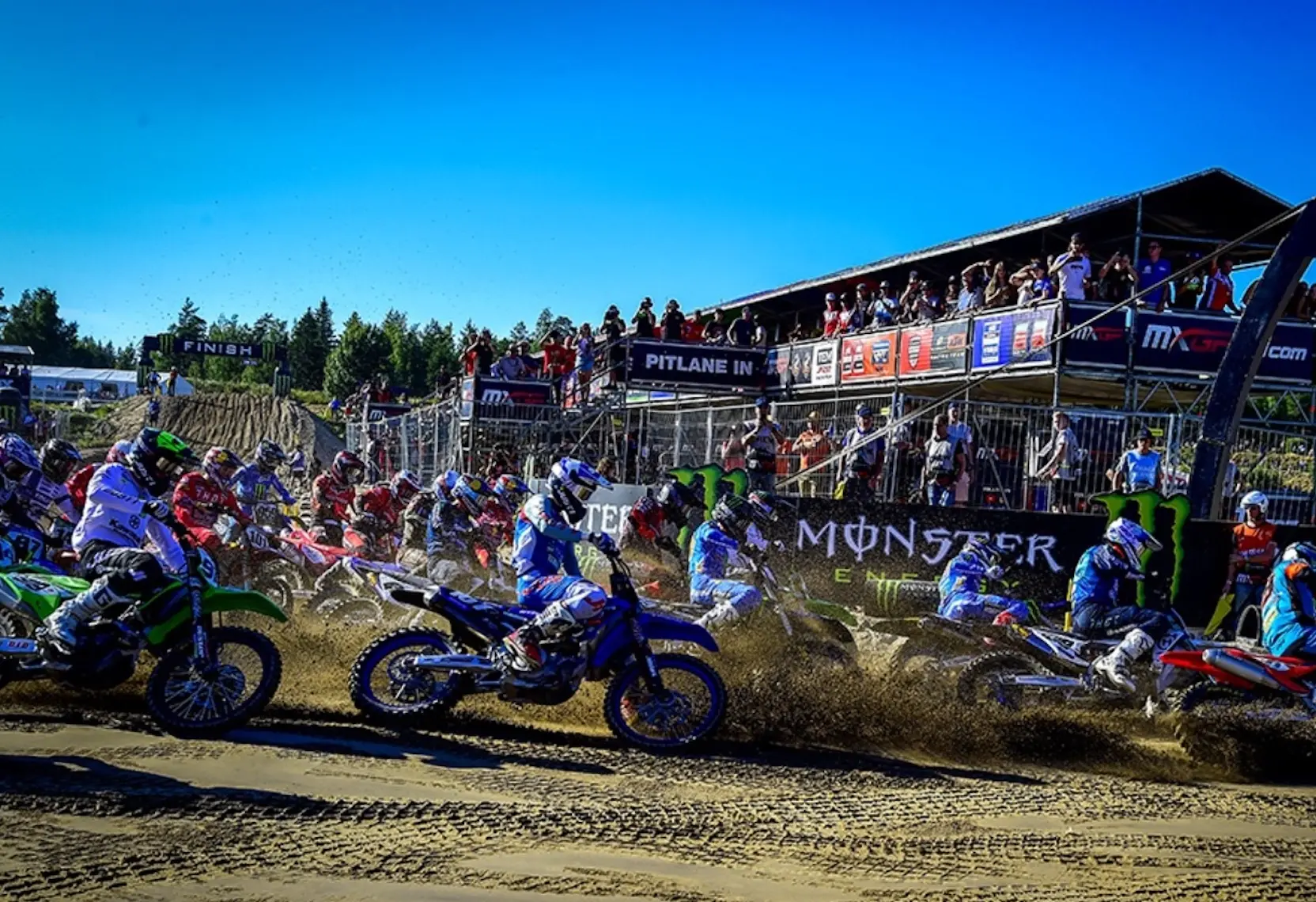 tim gajser