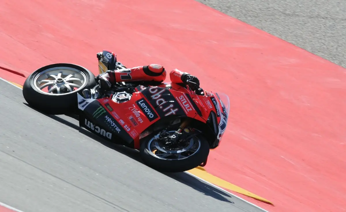 bulega 2