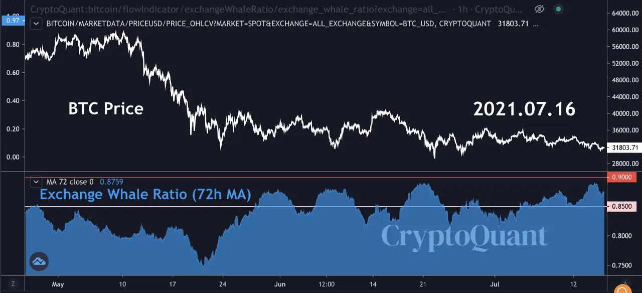 bitcoin whale ratio