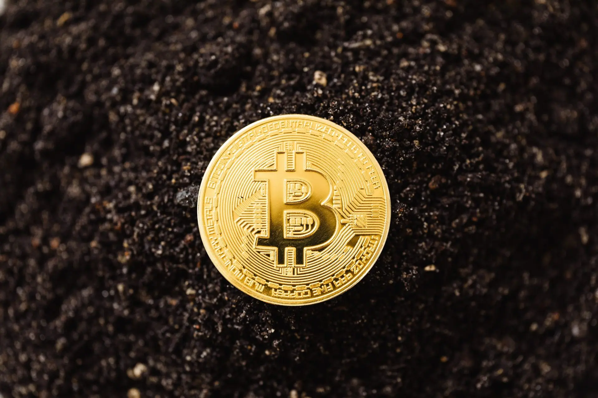 btc 7