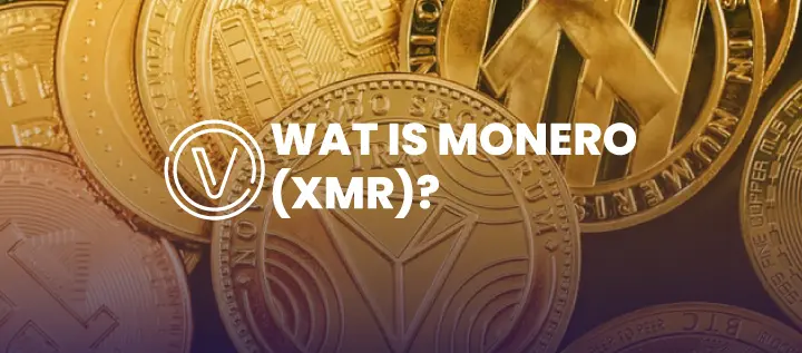 layer 1 altcoins afbeeldingen tekengebied 1 kopie 31