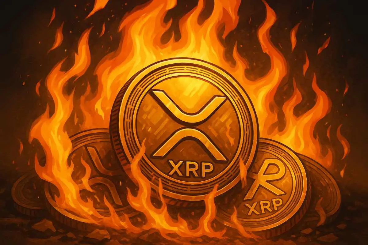 XRP burnrate