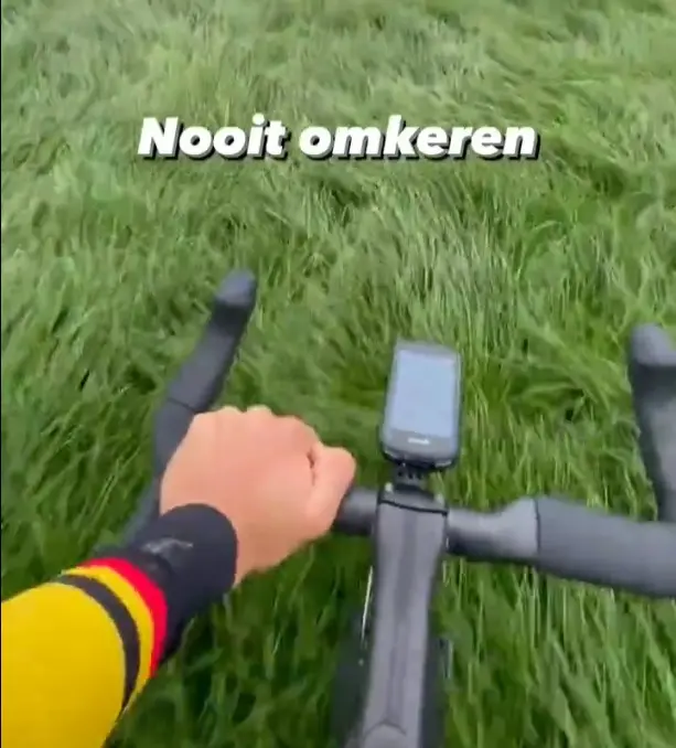 vanaert