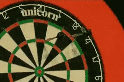 9 darter