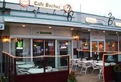 Bachus
