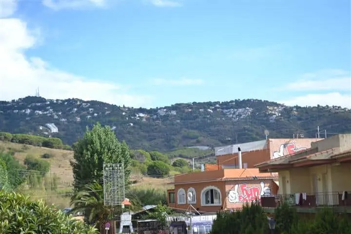 DSC 0246