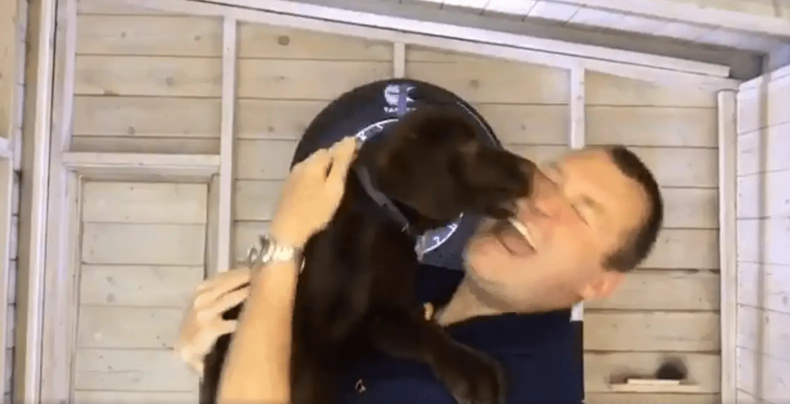 Wayne Mardle hond e1507060490890