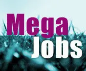 1115700991mega 01