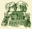 1116362635krant