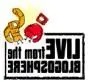 1128697235blogreversed