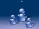 1130334887msn1