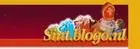 1131438514sintblogo