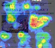 1153046690eyetracking